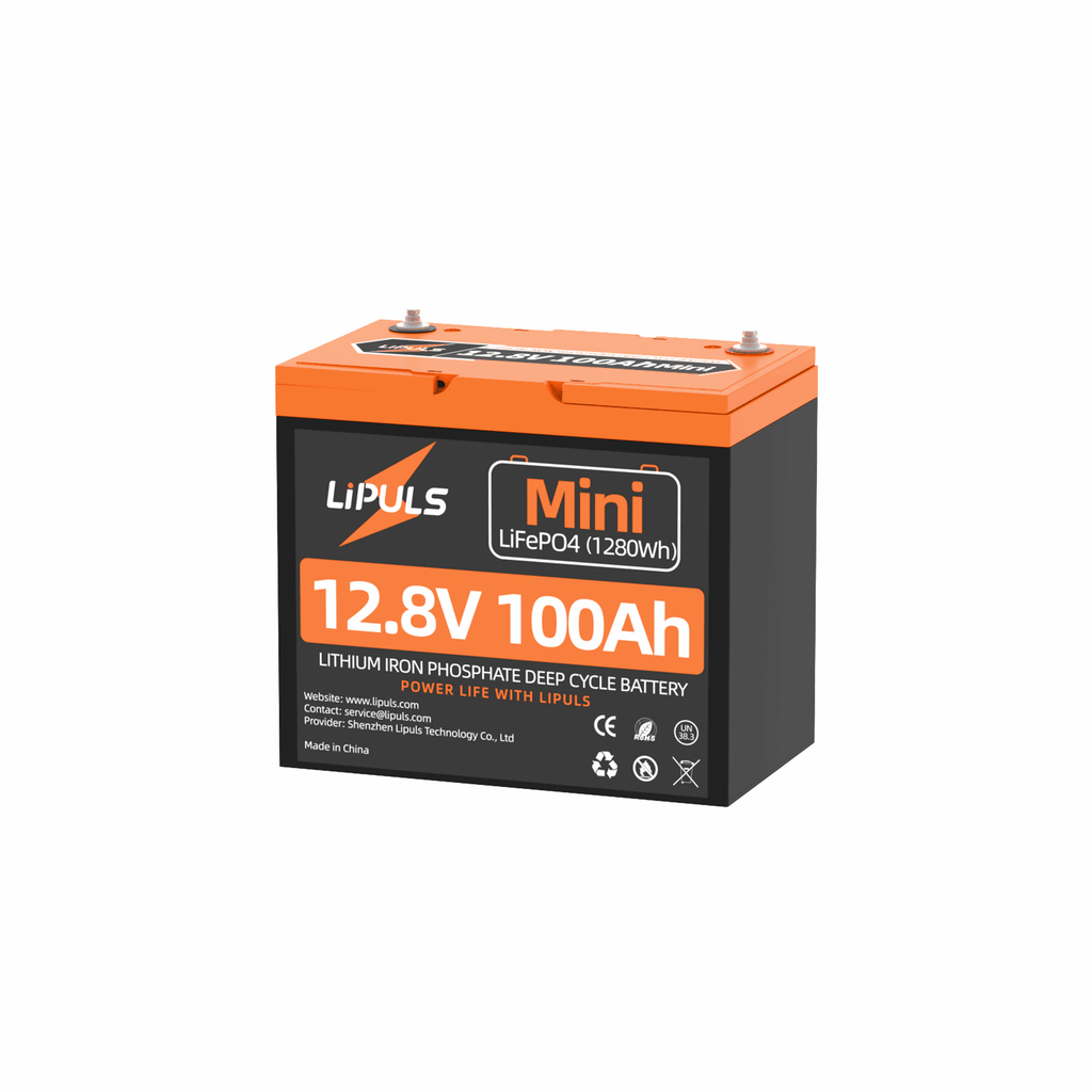 12V100_Mini_1_1d98d055-0dd3-