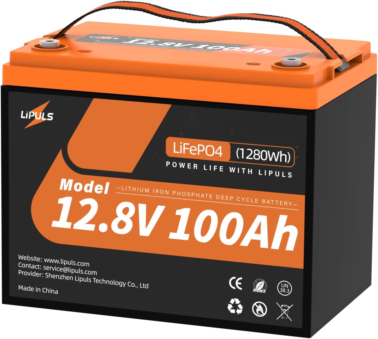 12V 100Ah LiFePO4 Lithium Battery, Group 24 Lithium Battery Built-in 1